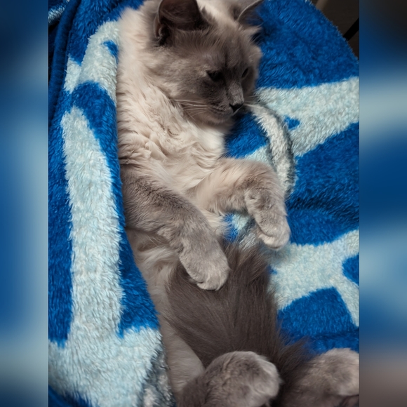 NEW LISTINGS DAILY - BIG STASH CLEAR OUT - Picture 4 of 6